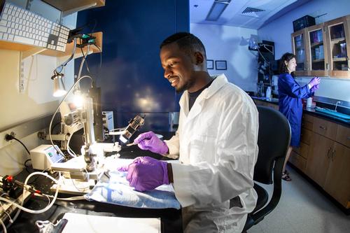 Tatenda L. Chakoma '18