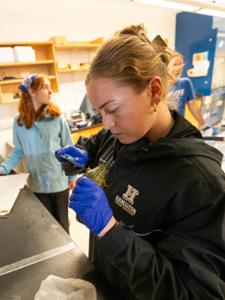 Back in the lab, Madison Kob &rsquo;28 and Alden Duserick &rsquo;27 get to work during their summer research project with Prof. Ariel Kahrl.