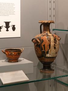 The Burgess Collection in the Wellin Museum's Archive Hall