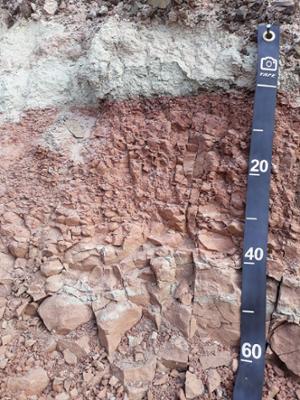 well-developed paleosol