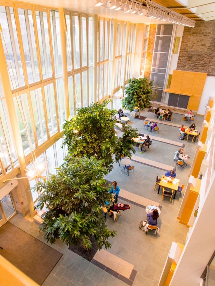 Psychology Hamilton College Areas of Study