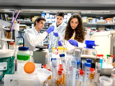 Aksel Reid ’27, Lucas Constantine ’27, and Lydia DeTraglia ’28 interning at the Masonic Medical Research Institute.