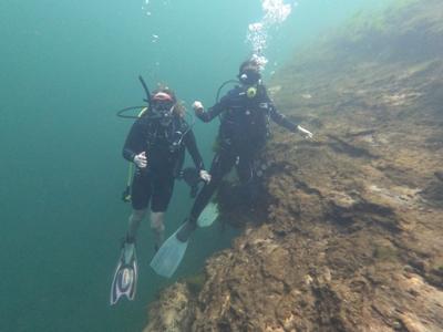 SCUBA diving in Florida 