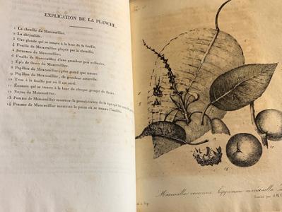 Recherches et expériences sue les poisons d’Amérique
