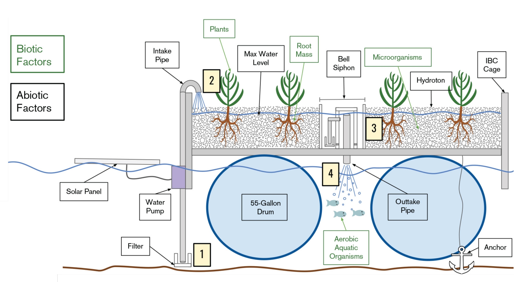 bell-siphon aerated floating treatment wetland design