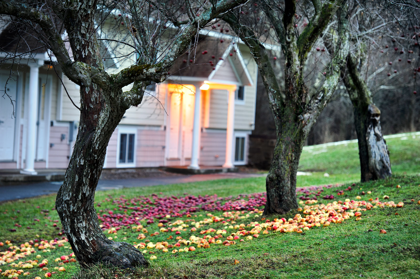 Campus Life Where To Live Residence Halls Griffin Road Apartments