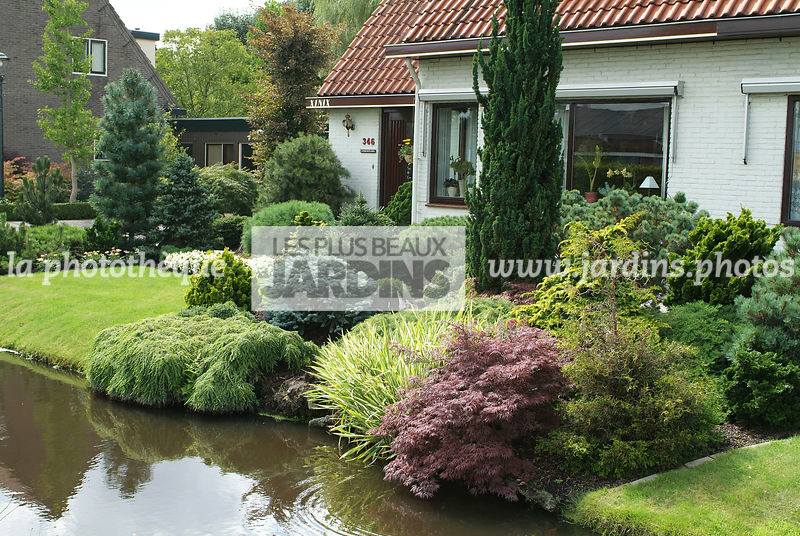 La Phototh que LES PLUS BEAUX JARDINS Massif De Conif res Mini 