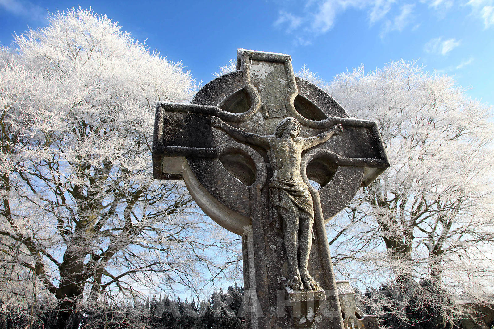 Maynooth College grave yard..08.01.09..Pic. Maura Hickey/086 8541130.