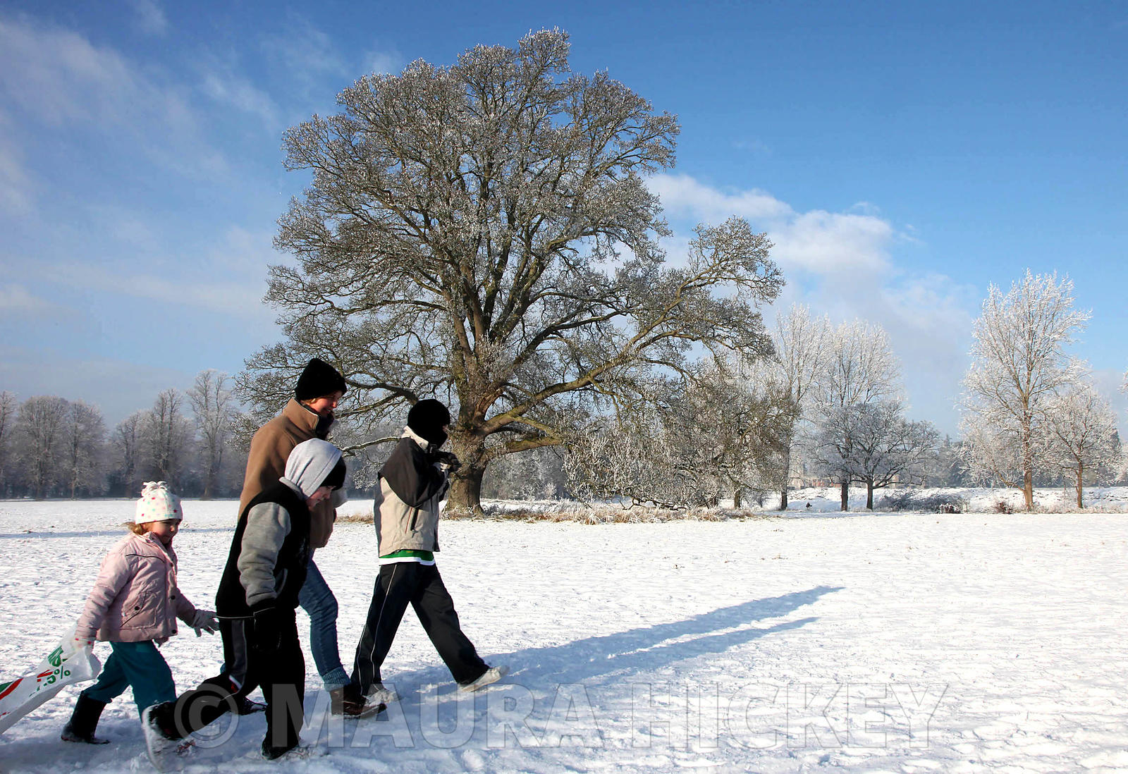 Castletown Estate, Celbridge, Co. Kildare, saturday..09.01.09.Pic. Maura Hickey/086 8541120.