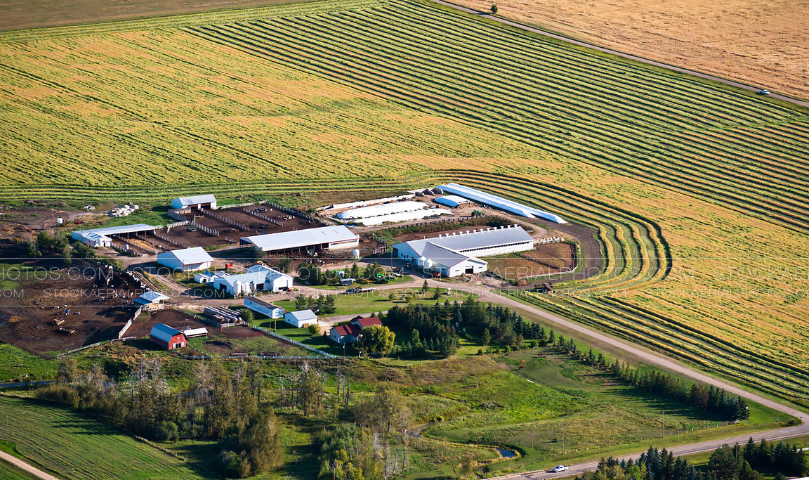 Aerial Photo Modern Farm in Alberta