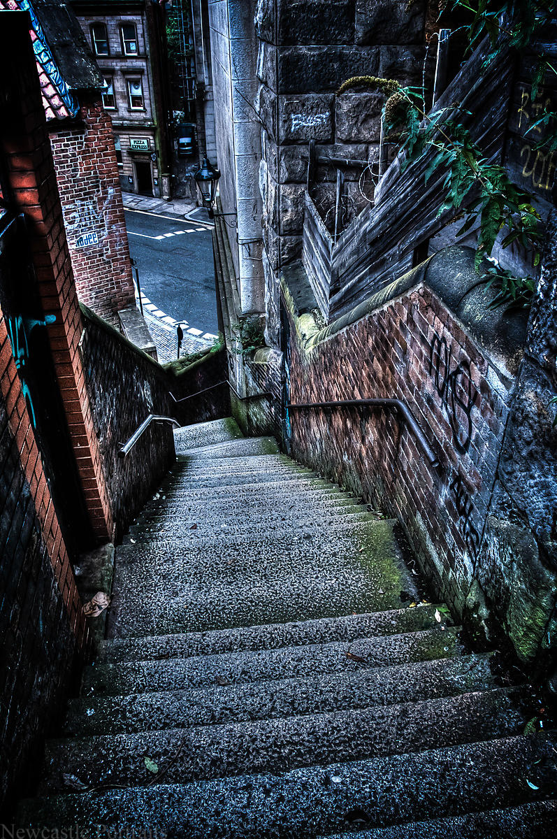 Newcastle Photos Dog Leap Stairs. Newcastle photos