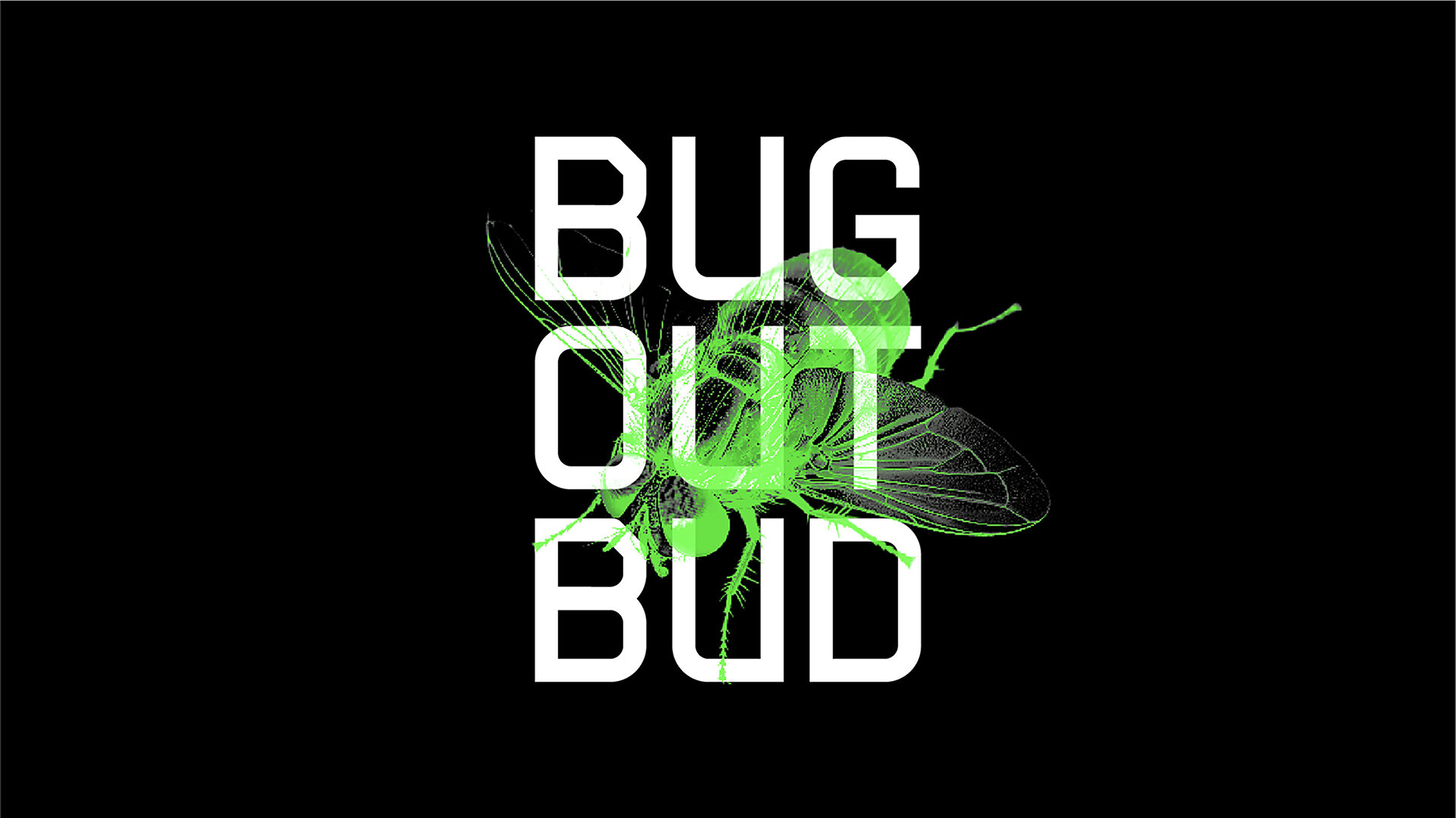 05 1 Buzzkill Bug Out Bud