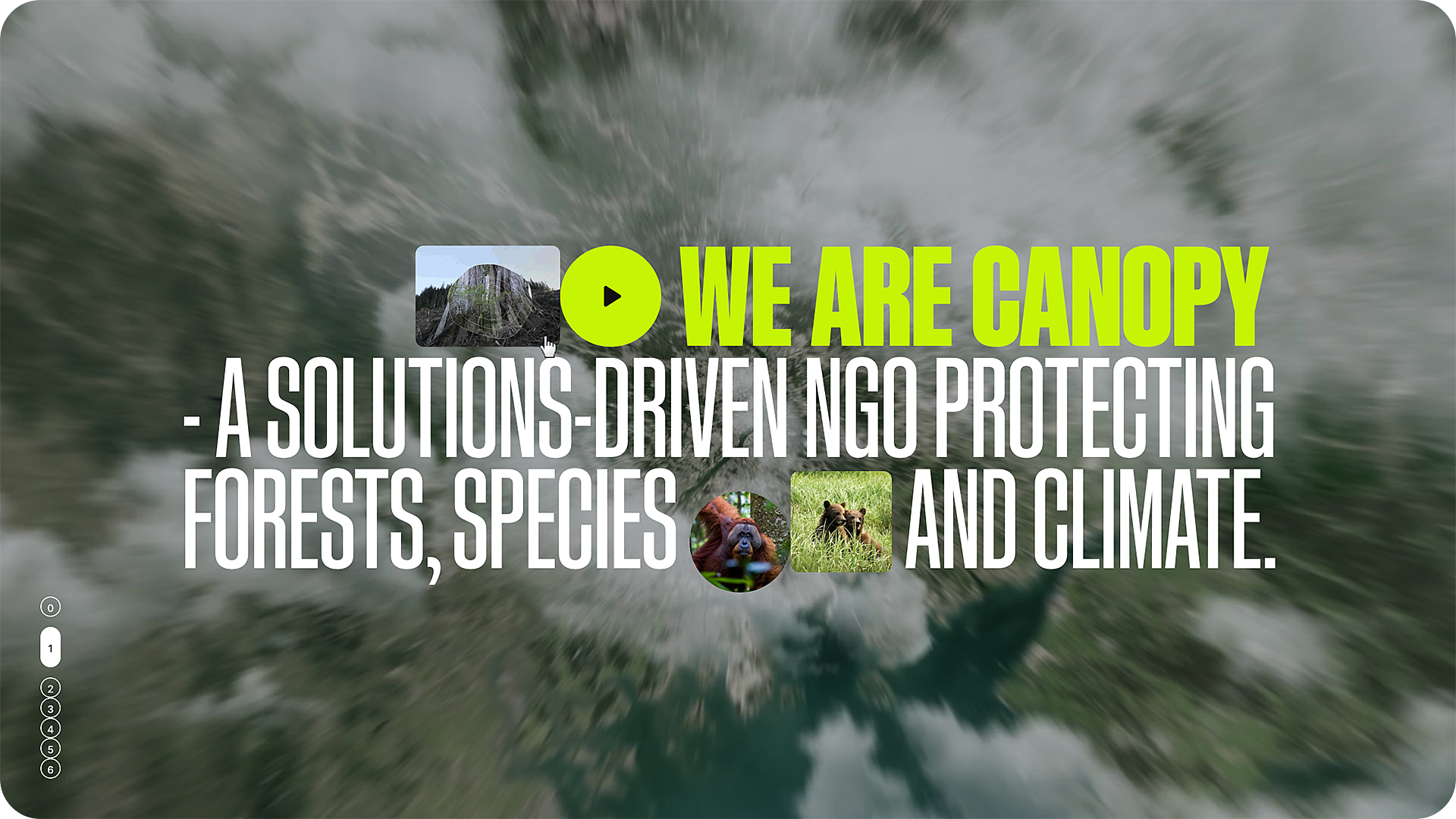 06 04 CANOPY Home Slider