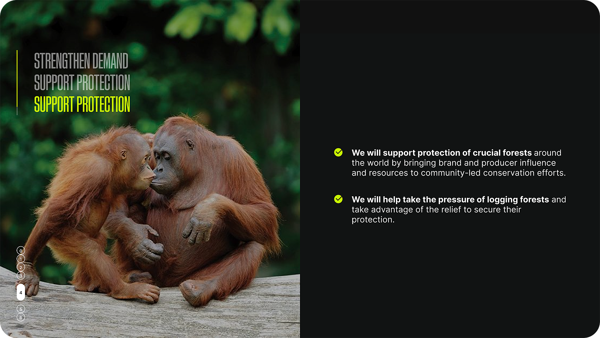 06 07 CANOPY Home Slider