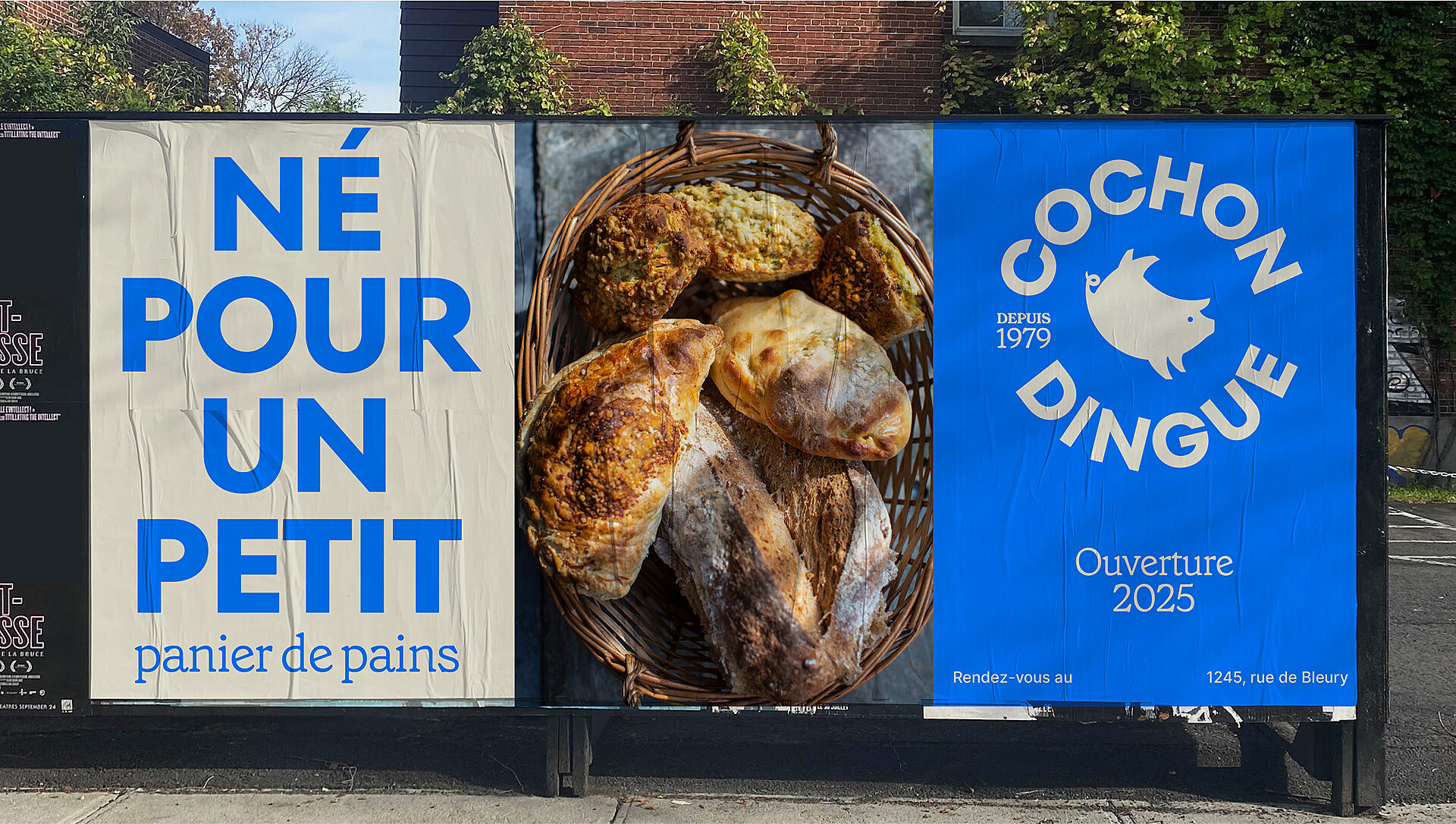 03 Cochon Dingue Affichage