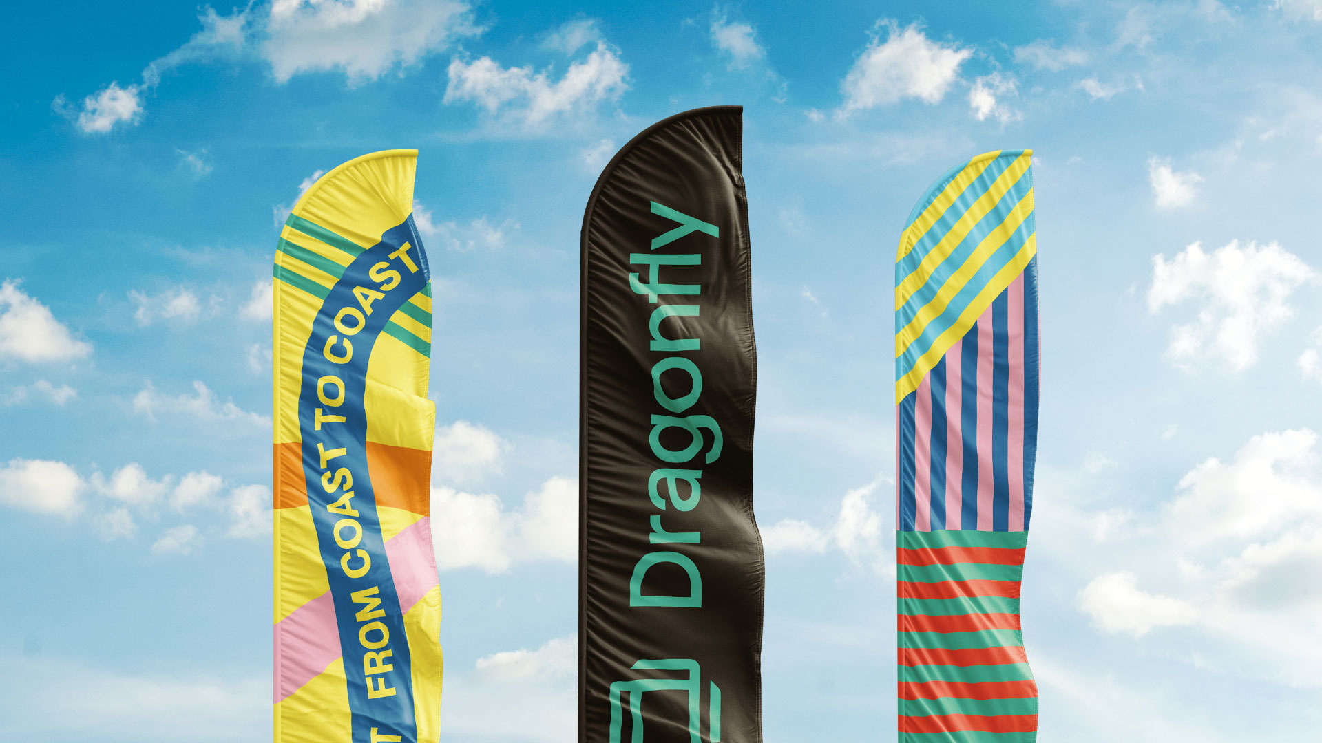 11 Lg2 Dragonfly Drapeaux 1920x1080