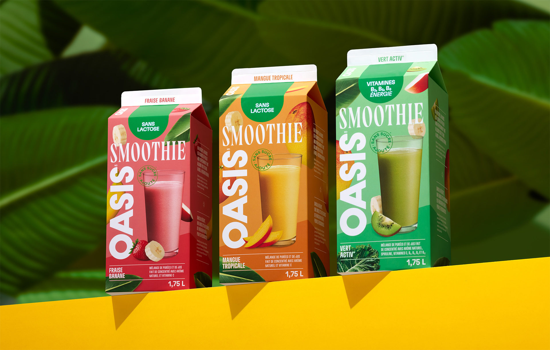 Lg2 502095 OASIS Smoothie trio FR