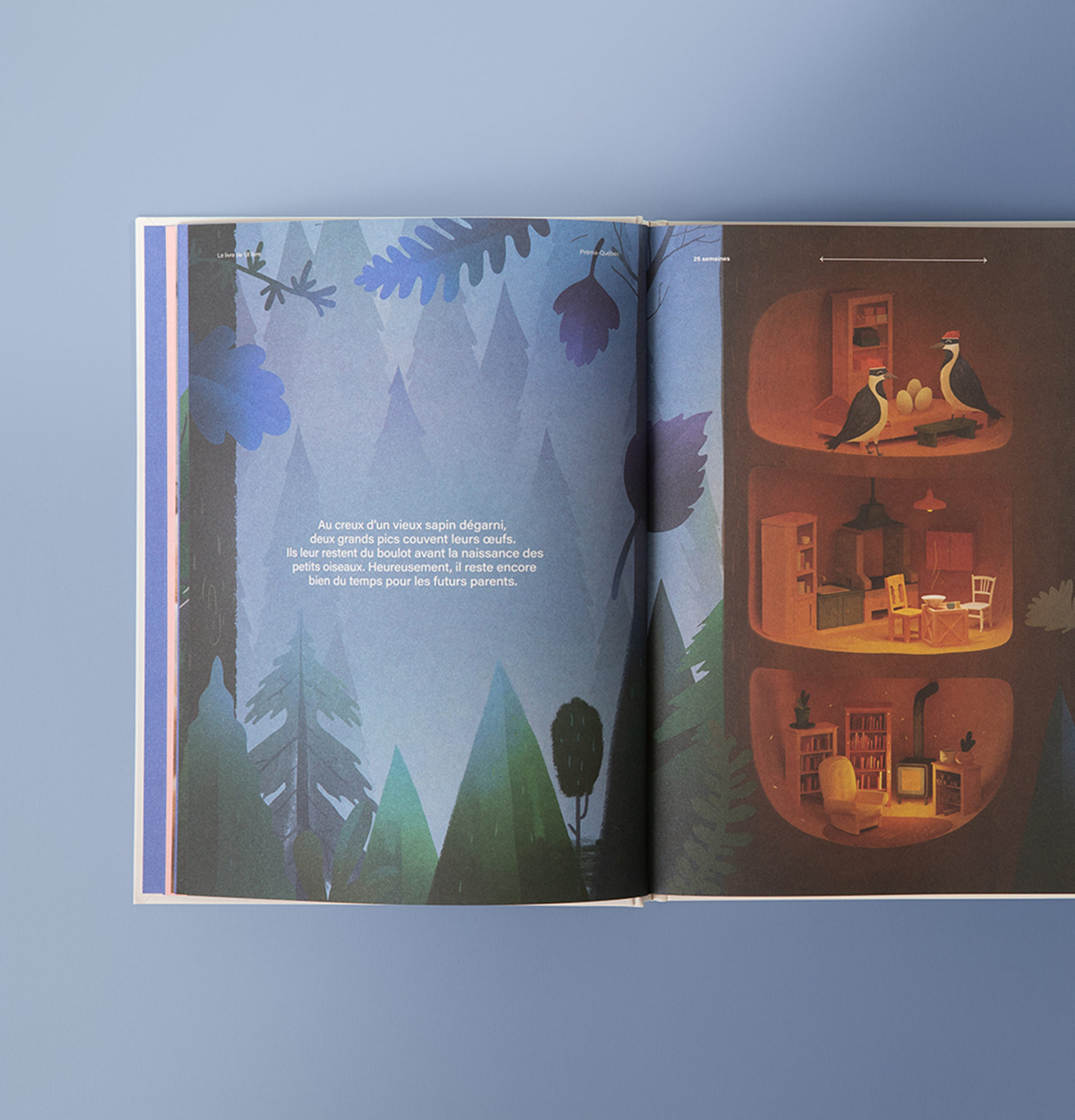 13 2 PREMAQC FR crop