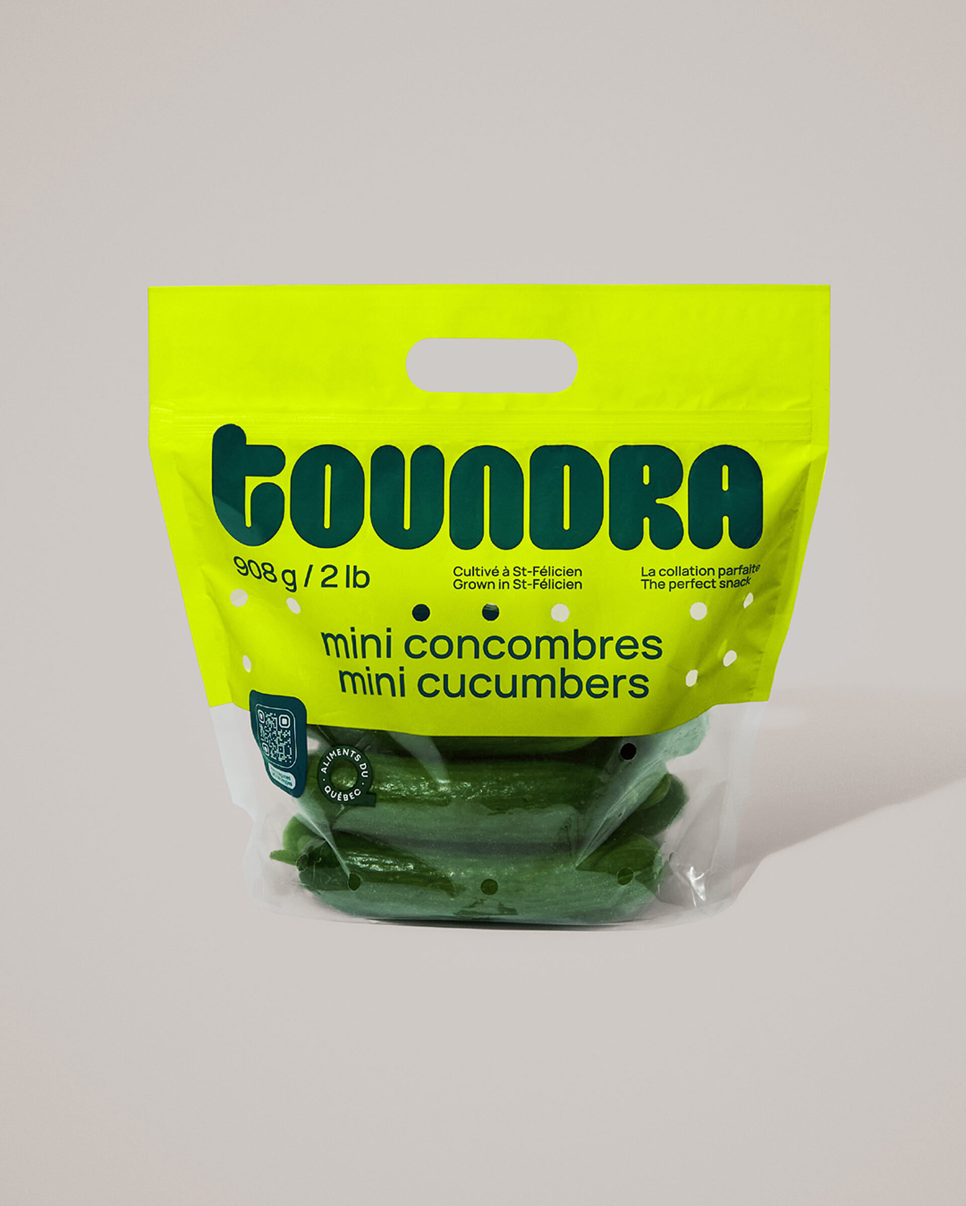 07 1 TOUNDRA