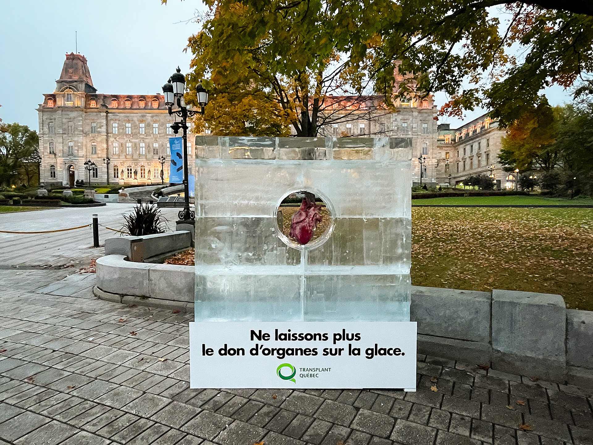 LG2 Transplant Quebec 02