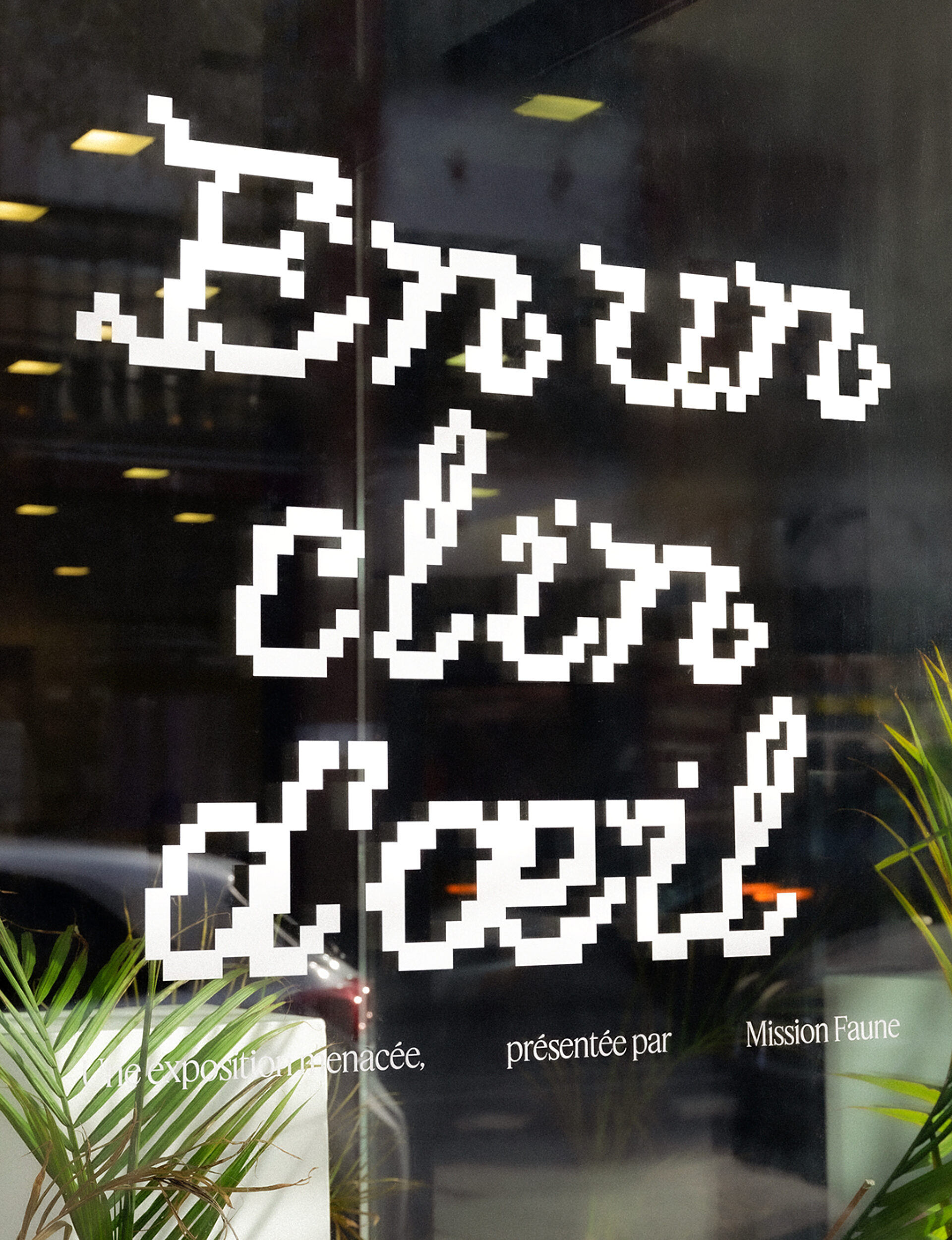 02 1 ZOO Mission Faune SITEWEB FR