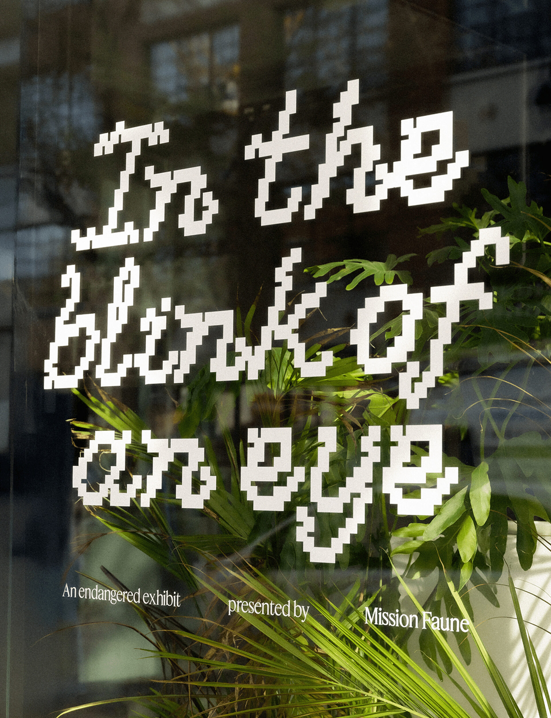 02 2 ZOO Mission Faune SITEWEB EN