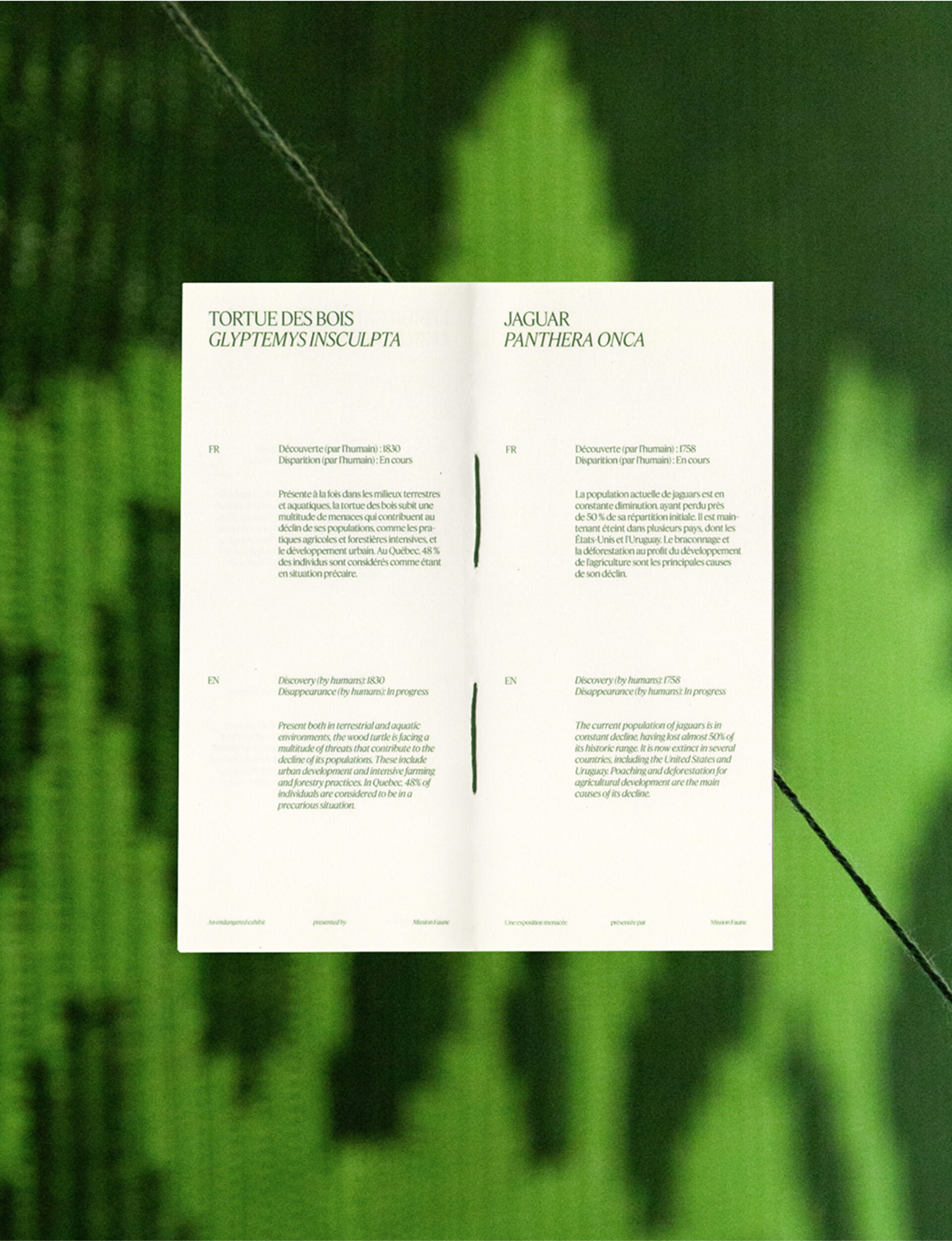 08 2 ZOO Mission Faune SITEWEB