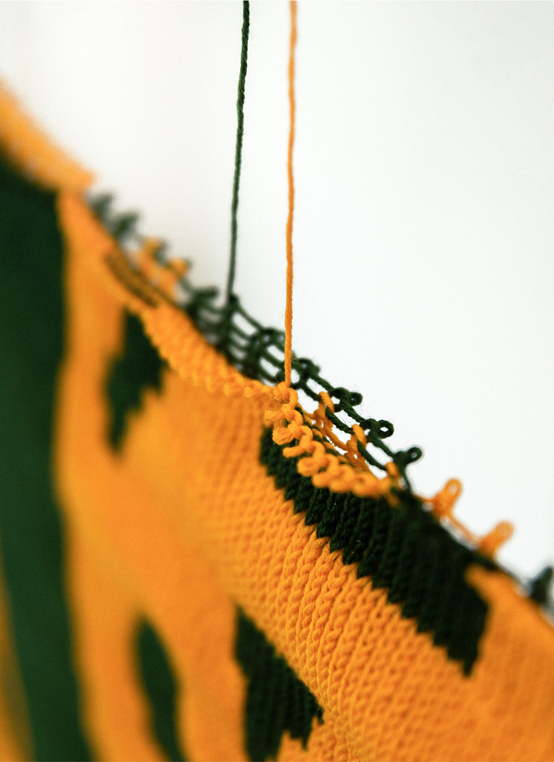 06 1 ZOO Mission Faune SITEWEB