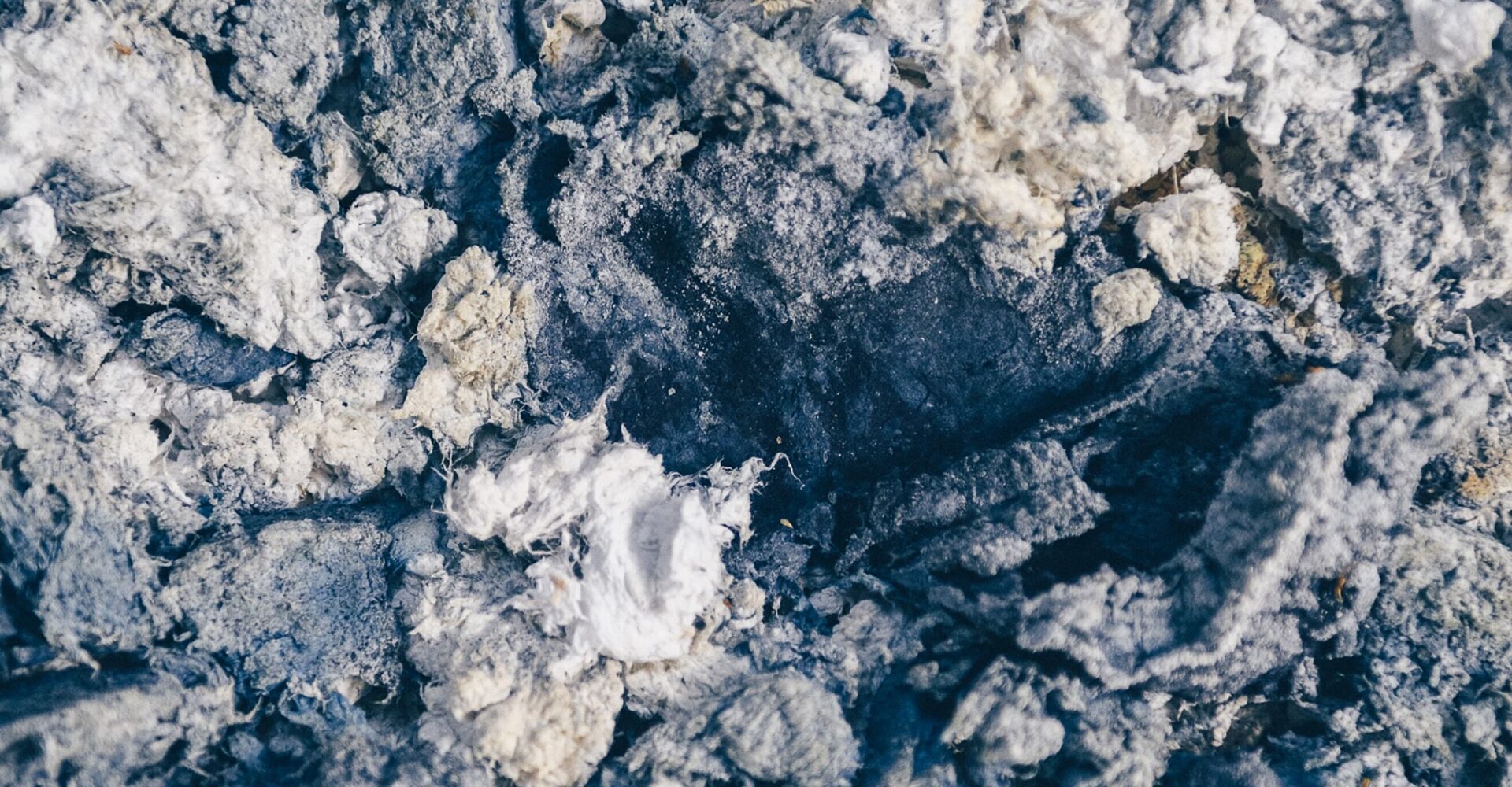 01 CANOPY NGN HEADER