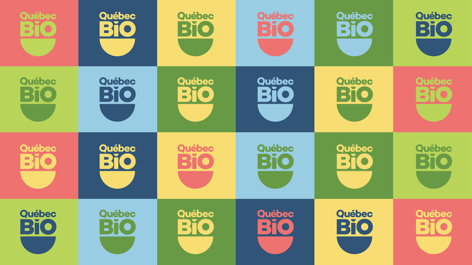 03 QCBIO Trame bleed