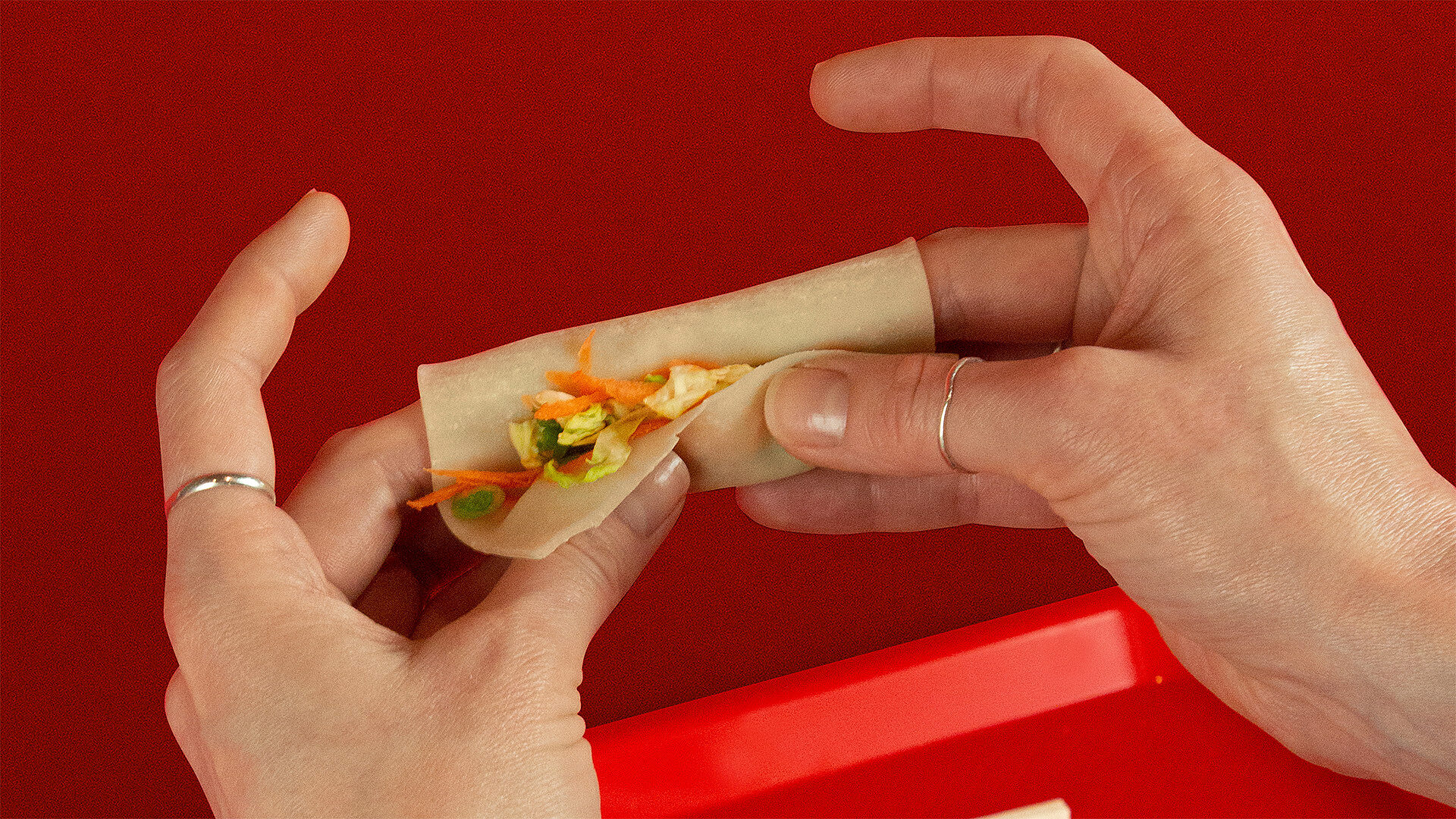 Copie de IMG 9879 crop lr