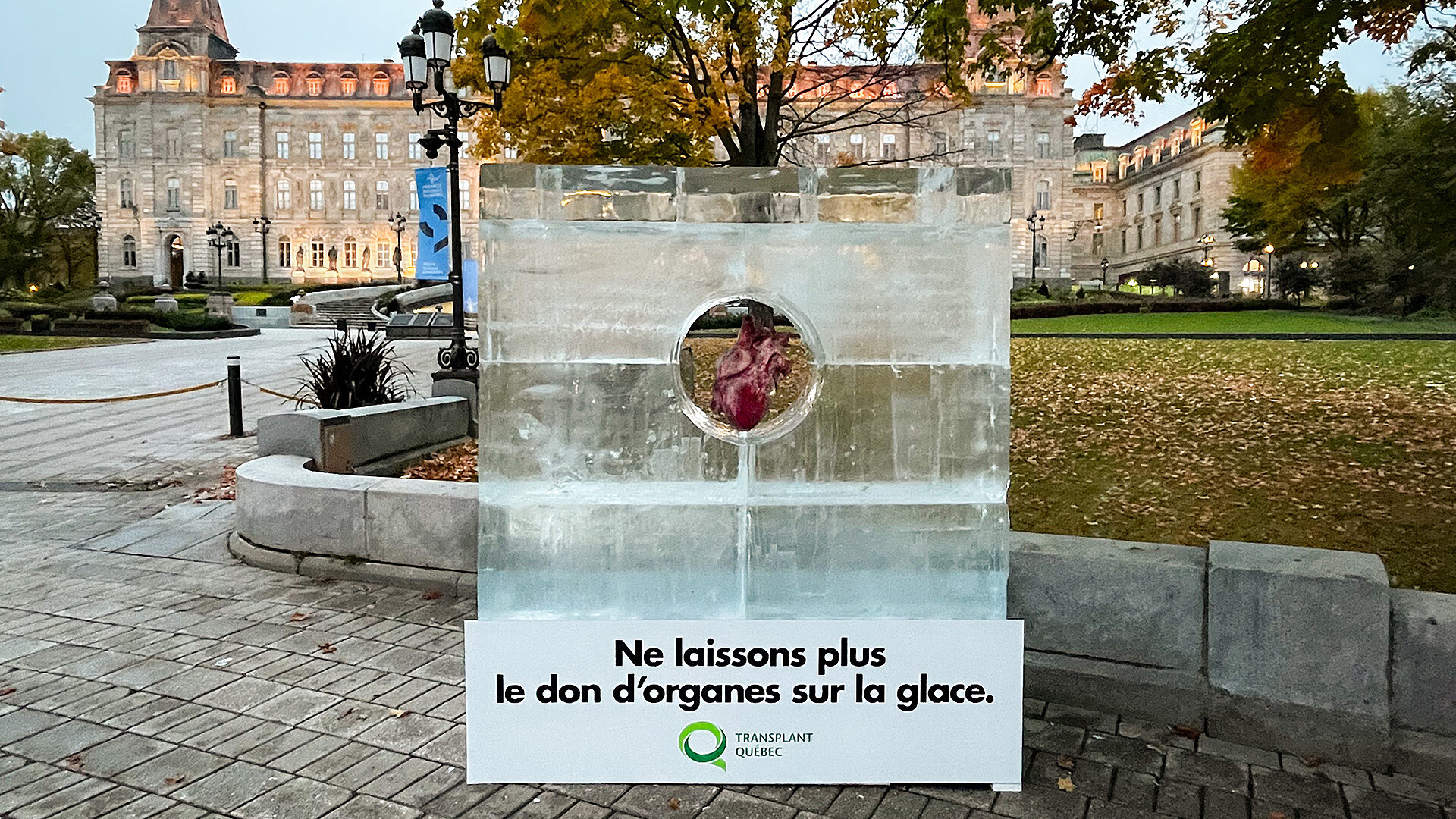 LG2 Transplant Quebec Header