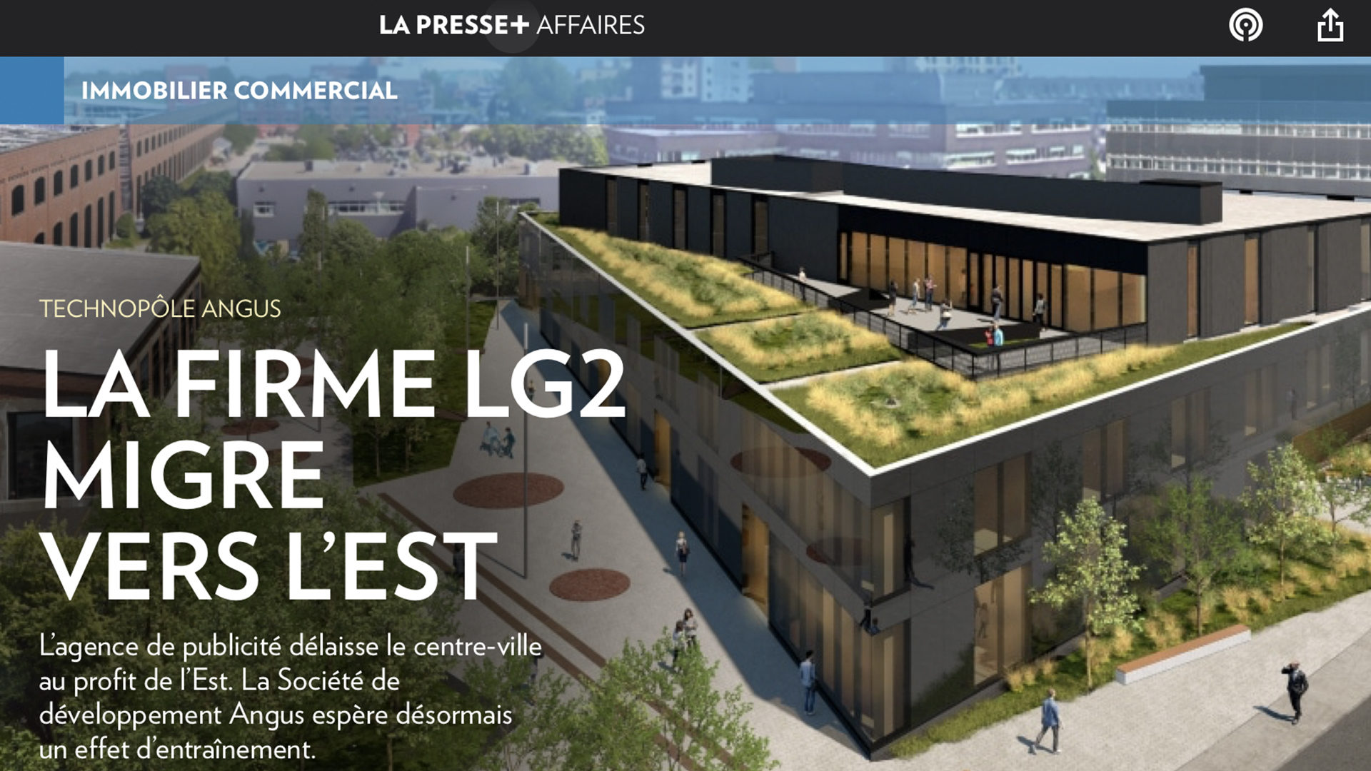 Nouvelle lg2 Angus 03