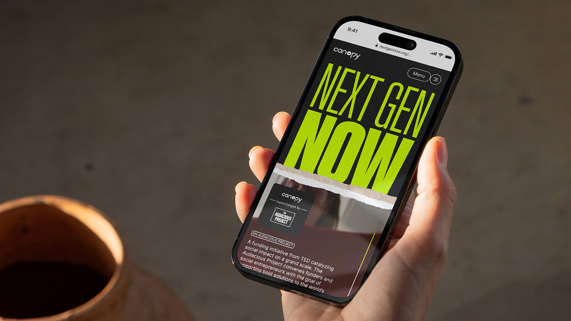 00 CANOPY NGN VIGNETTE