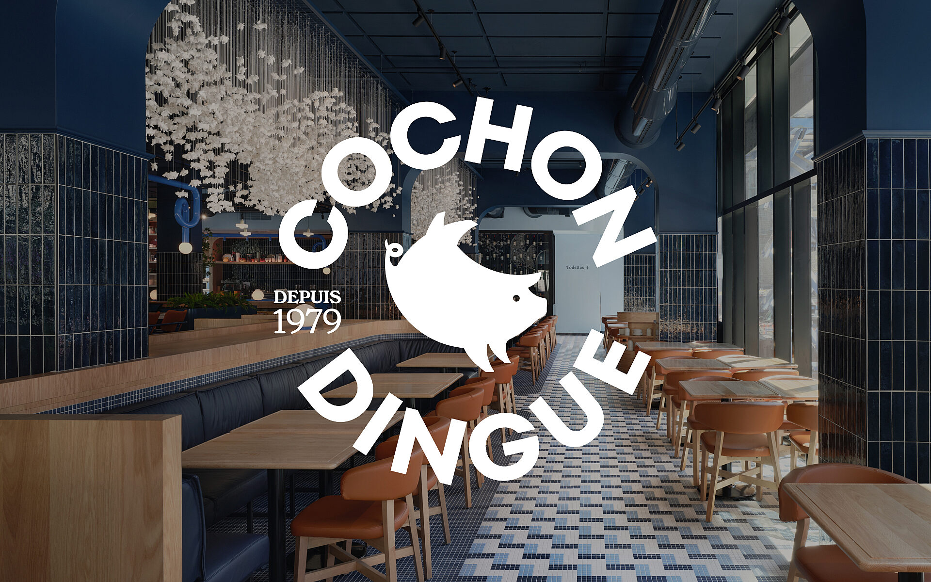 00 Cochon Dingue Thumbnail Projet