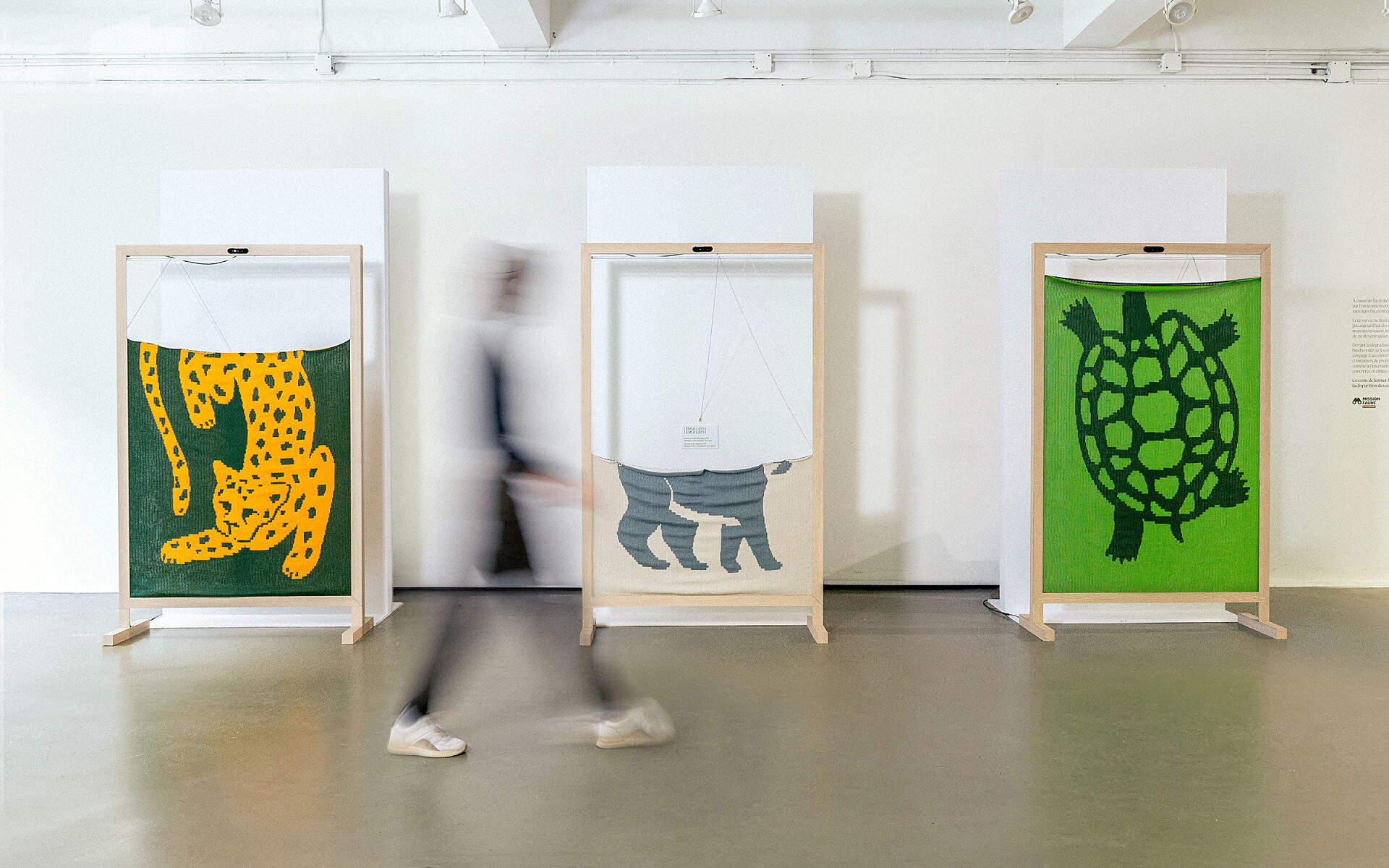 00 ZOO Mission Faune SITEWEB THUMBNAIL Projet