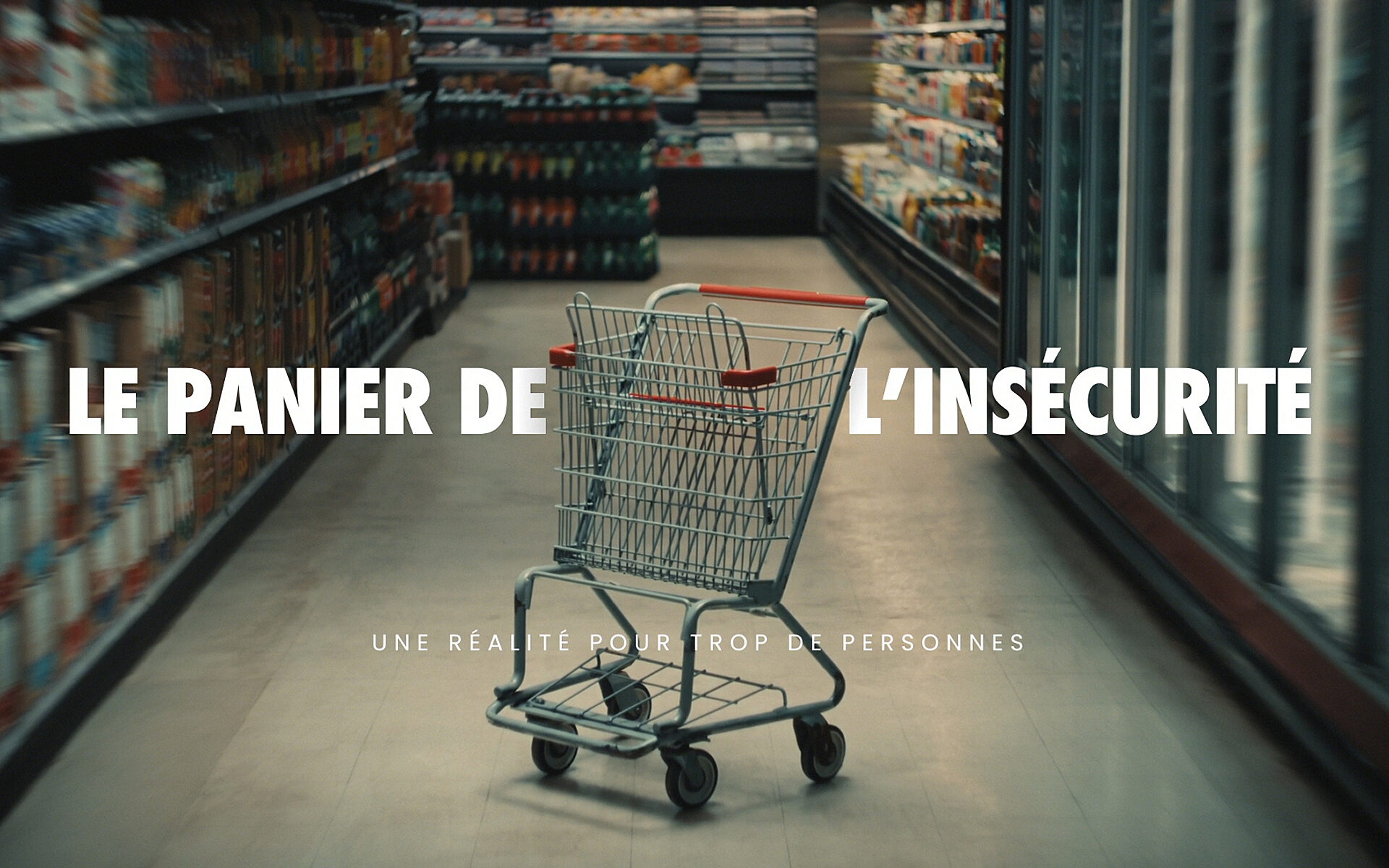 2025 Moisson Montreal Panier FR Vignette