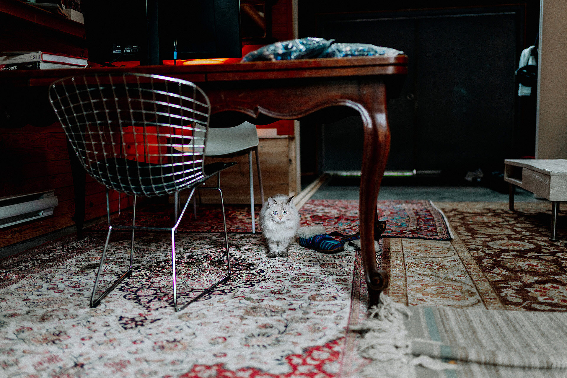 11 PEEK Antoine Levasseur