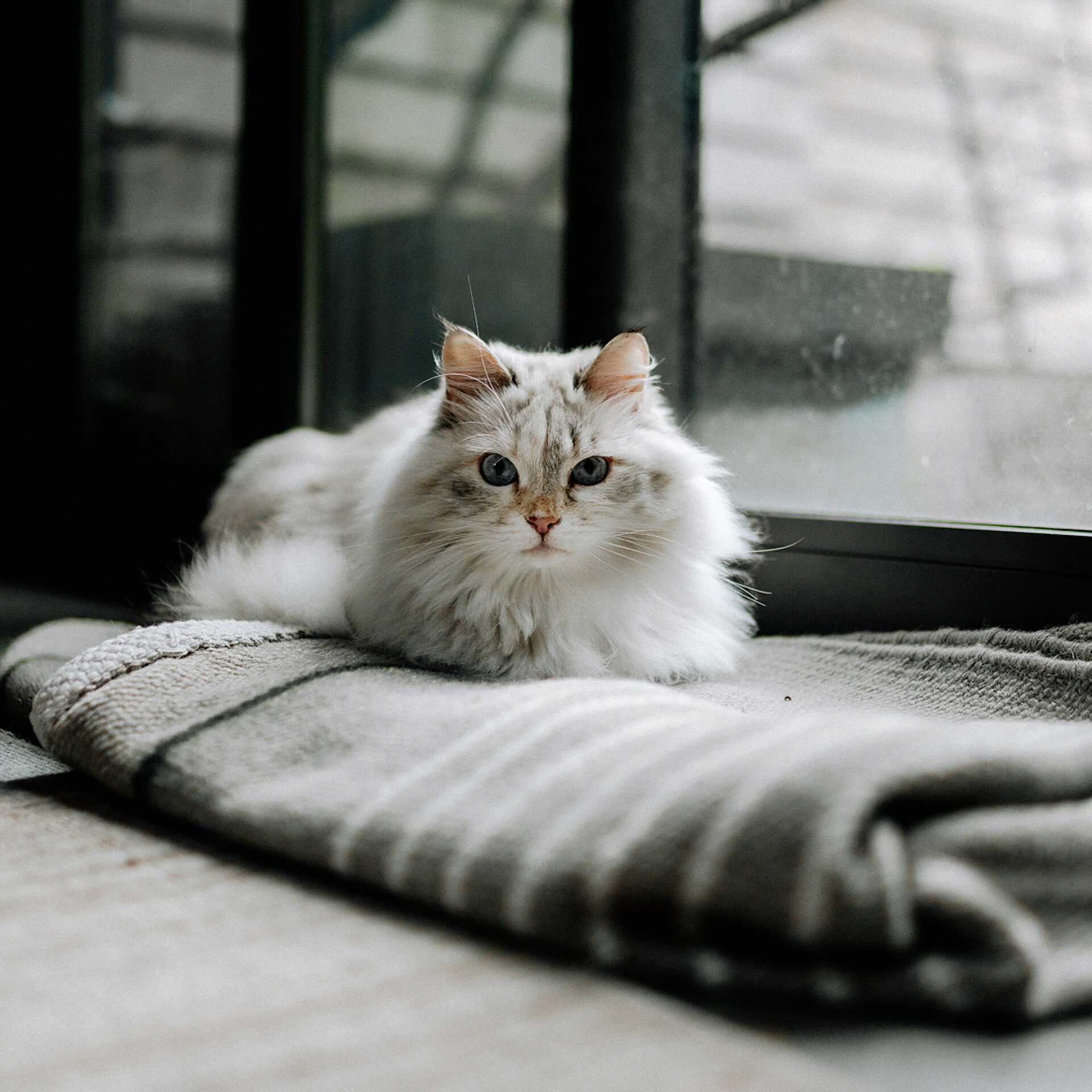 10 2 PEEK Antoine Levasseur