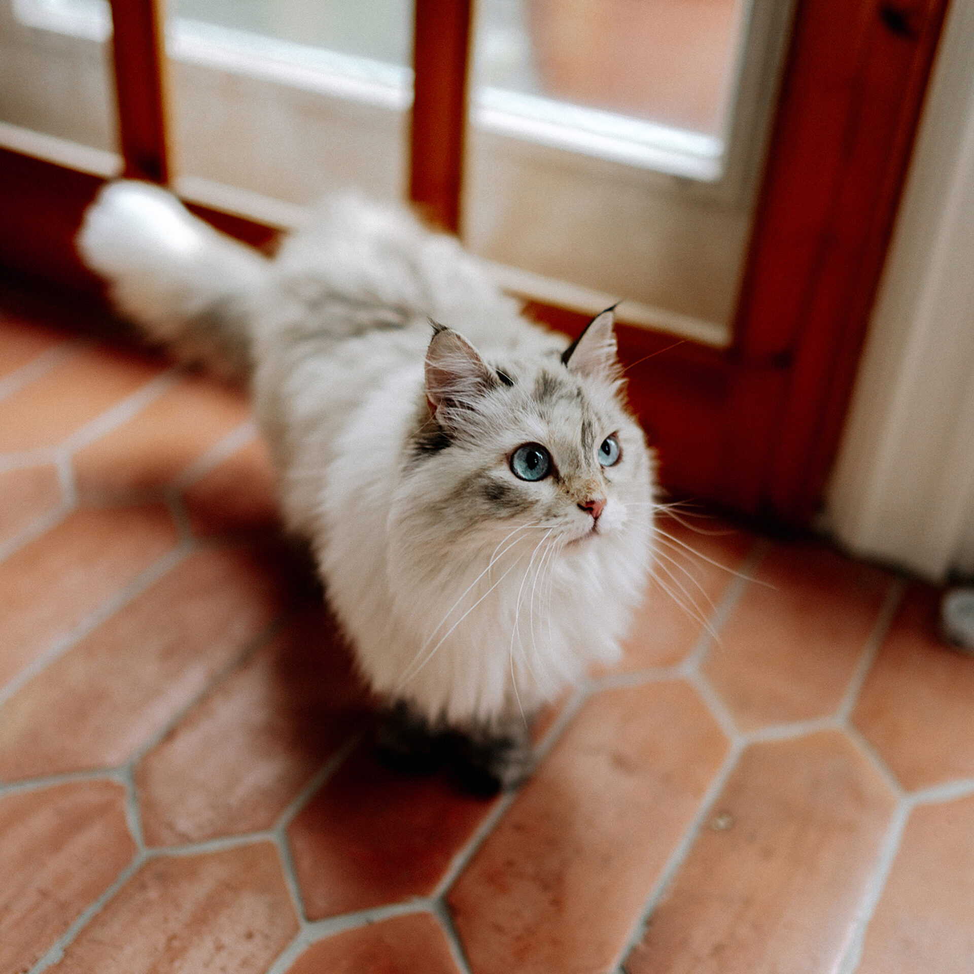 10 4 PEEK Antoine Levasseur