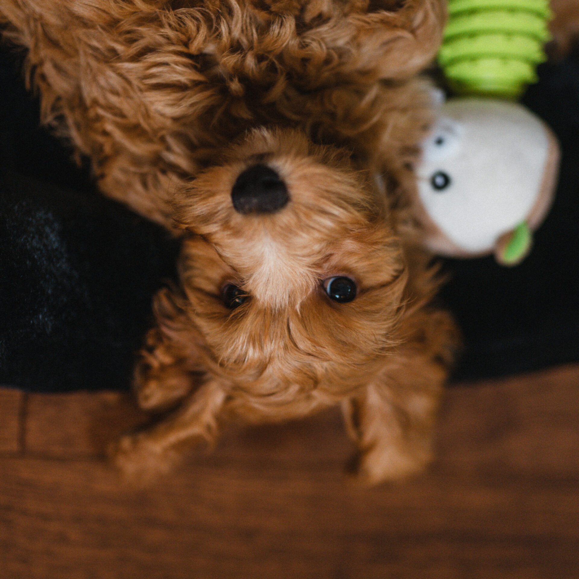 03 1 PEEK Casey Mendoza