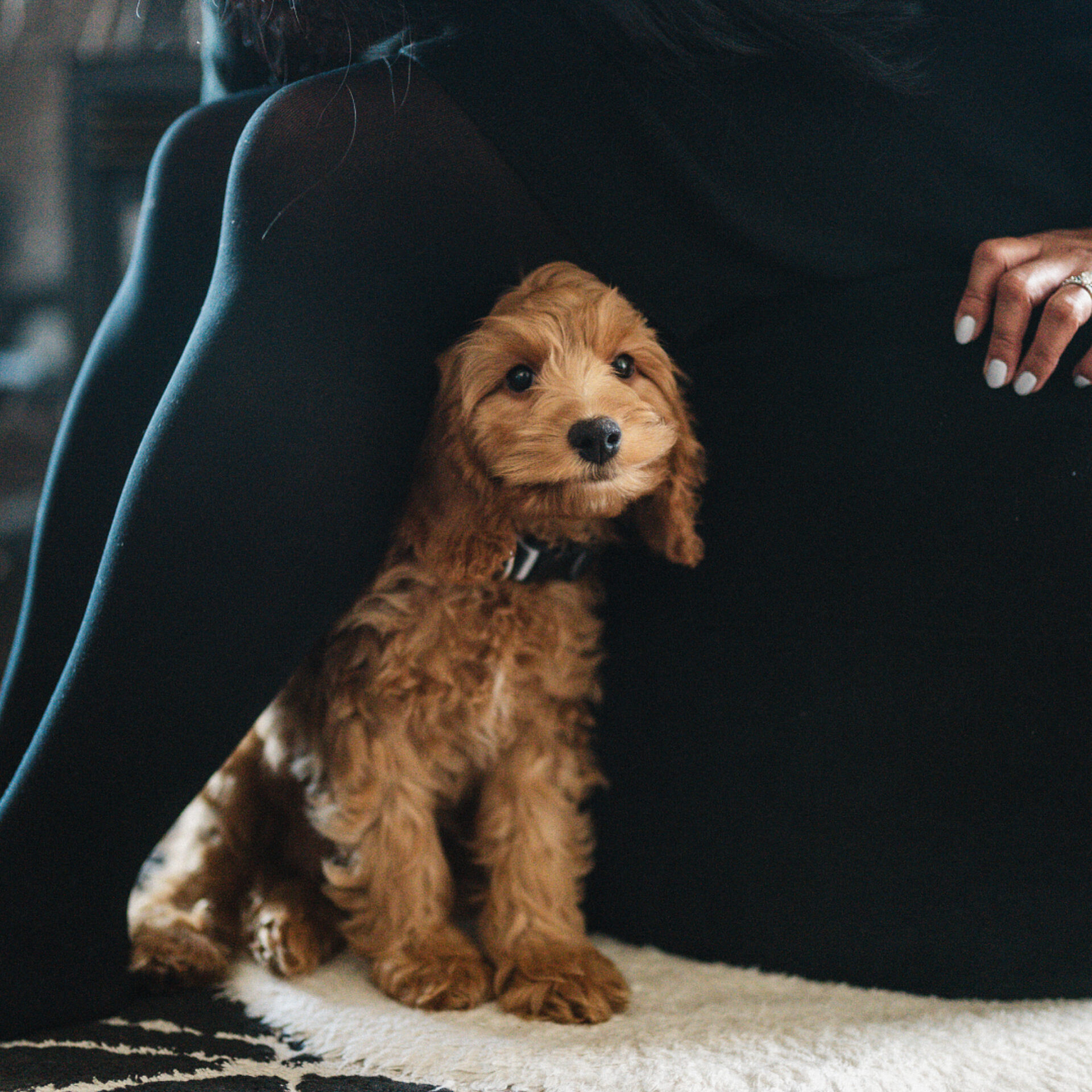 03 3 PEEK Casey Mendoza