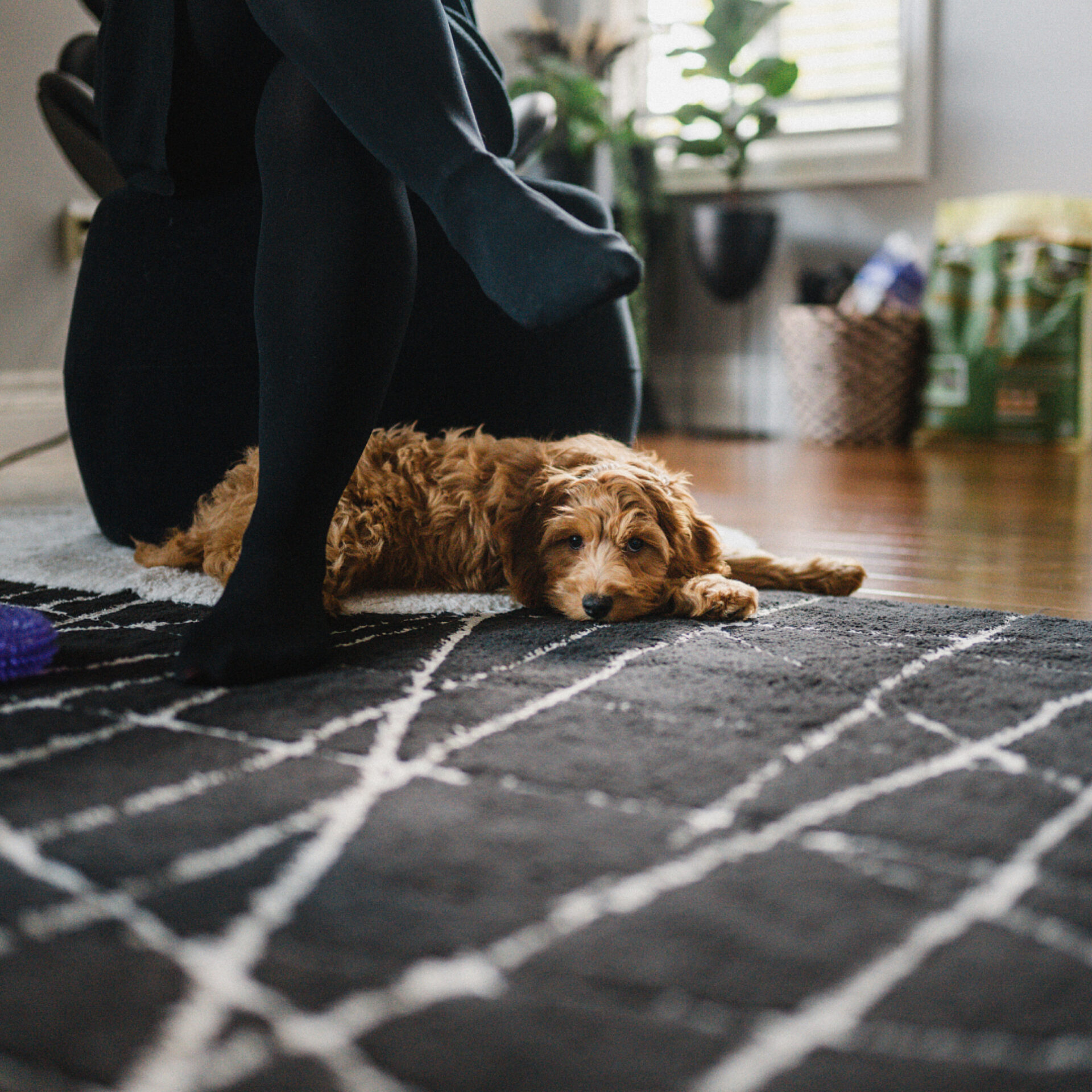 03 4 PEEK Casey Mendoza