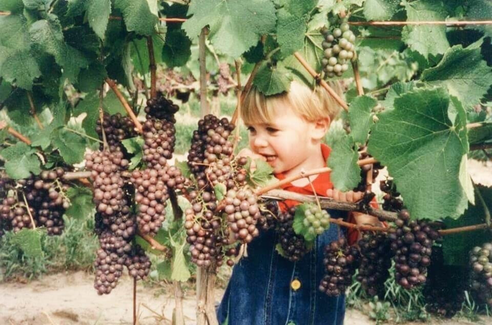 04 Kid grapes