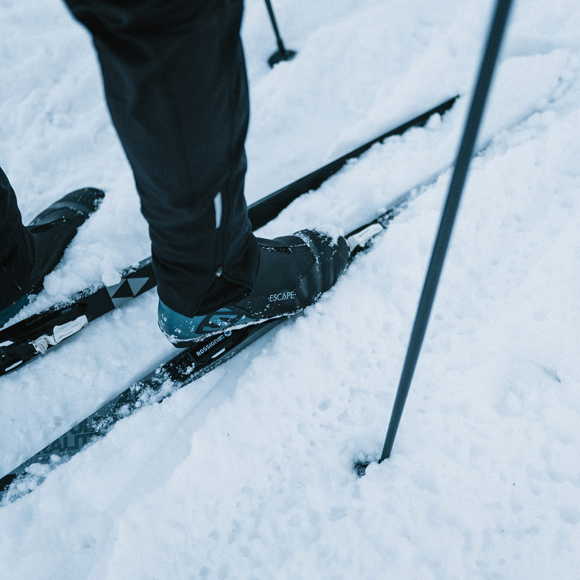 04 2 PEEK Marc Fortin V2