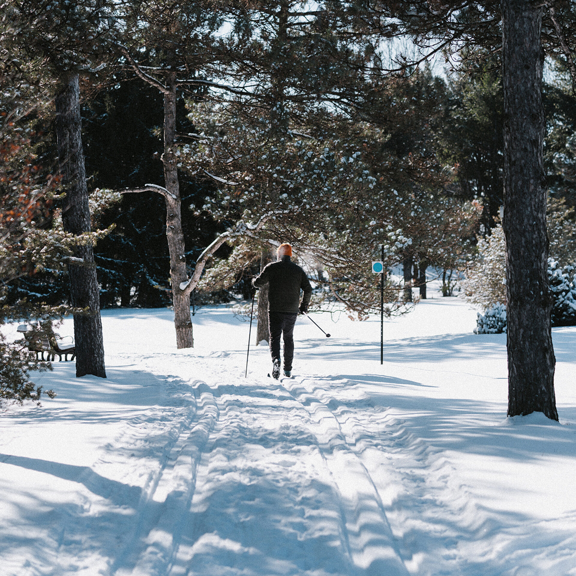 04 3 PEEK Marc Fortin