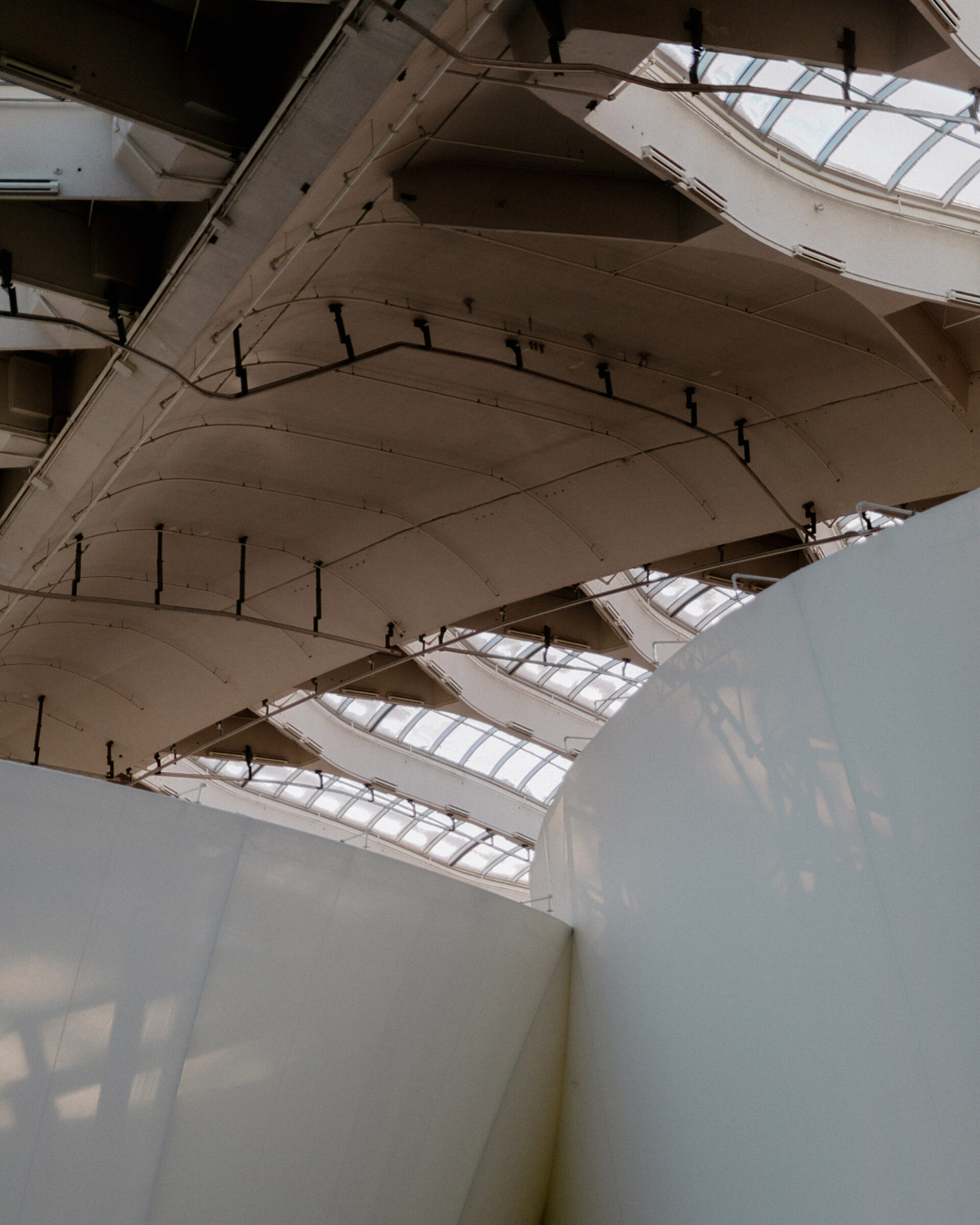 LG2 Peek Mariana Gariepy 04