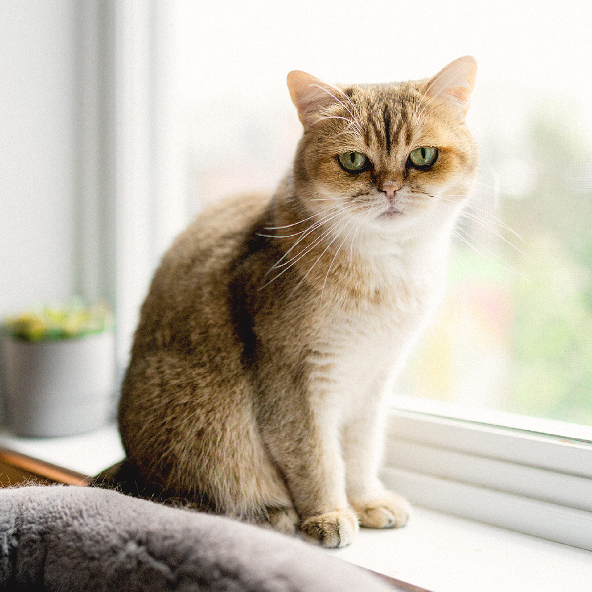 10 2 PEEK Samuel Thibodeau