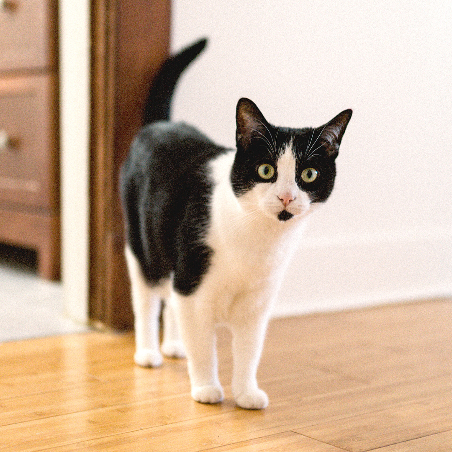 10 3 PEEK Samuel Thibodeau