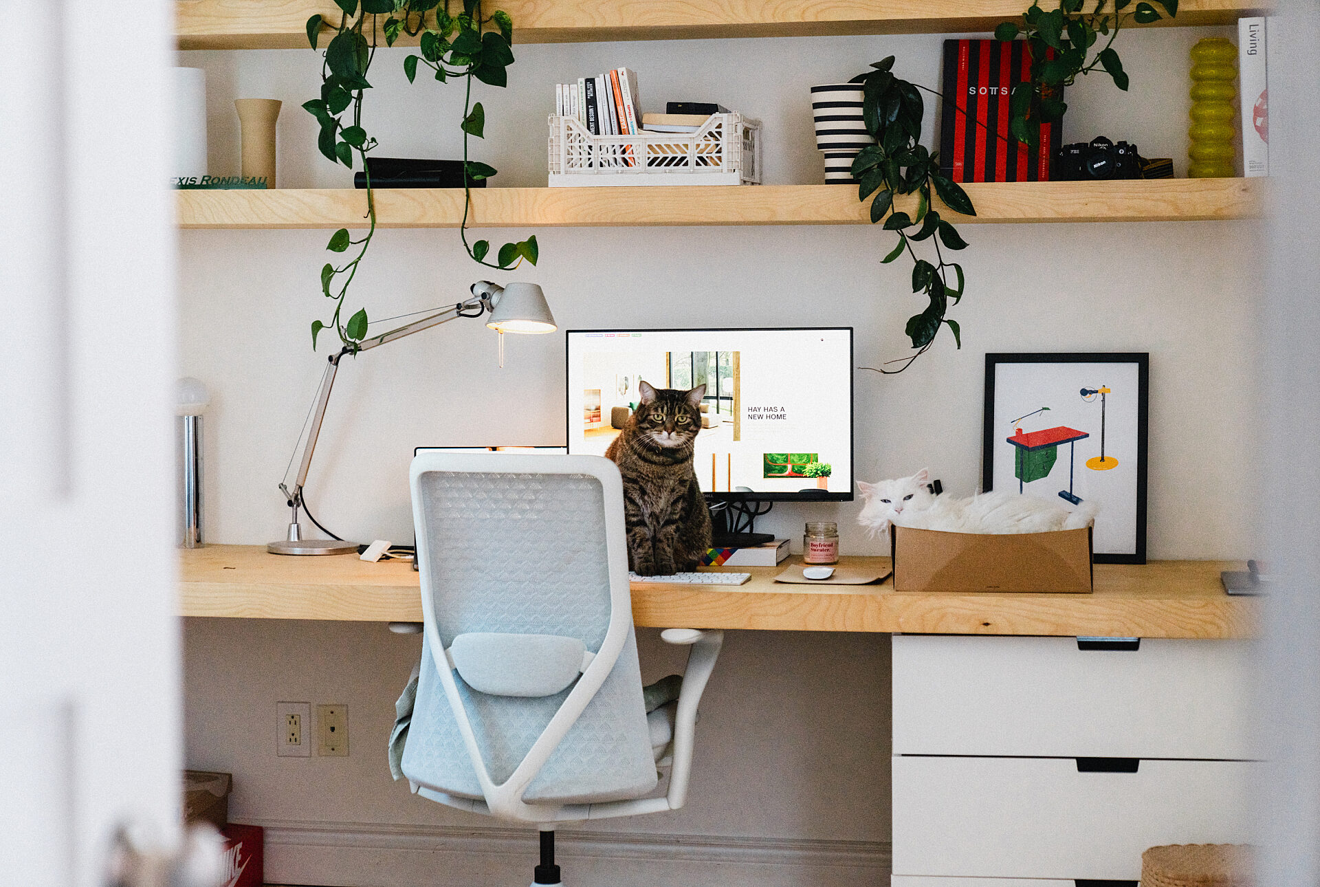 07 PEEK Vanessa Bourque